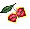 lil'lotus's Avatar