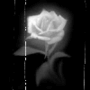 sexysouthernslut4u's Avatar